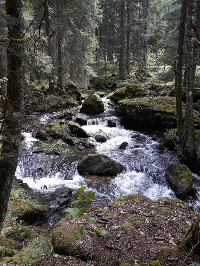 Anno - Die Wohlfuehl - Idylle In Gruenbach_Kirchdorf Kirchdorf im Wald Exterior photo